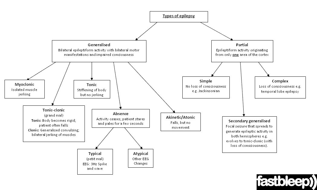 types-of-epilepsy